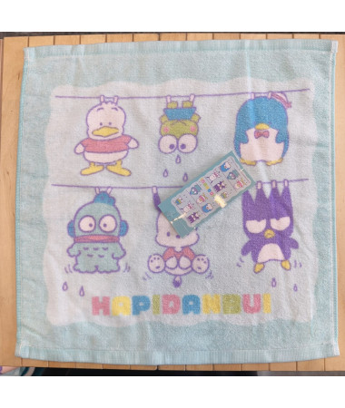 🇯🇵日本直送🇯🇵 Hapidanbui 方型毛巾