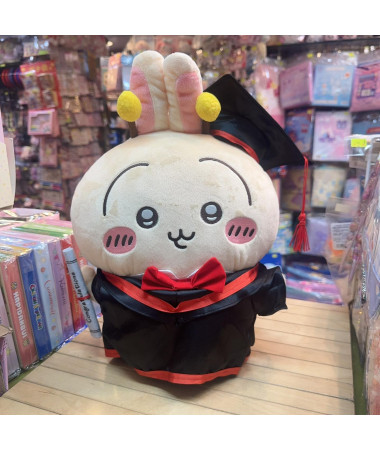 🇯🇵日本直送🇯🇵 Chiikawa 兔兔 烏薩奇 畢業公仔