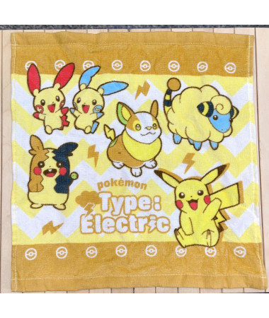 🇯🇵日本直送🇯🇵 Pokemon 精靈夢可寶比卡超方形毛巾