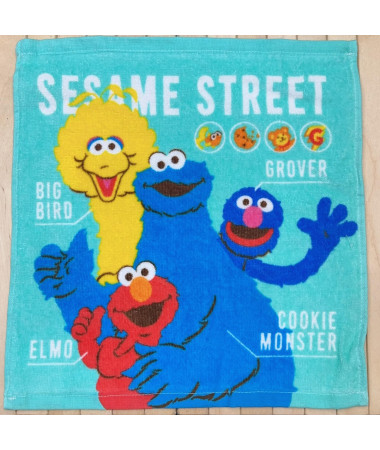 🇯🇵日本直送🇯🇵 Sesame Street 芝麻街方形毛巾
