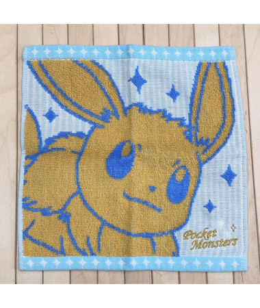 🇯🇵日本直送🇯🇵 Pokemon 精靈寶可夢伊貝方形毛巾